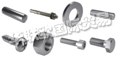 FABORY總部位于歐洲10個國家,是歐洲著名的緊固件生產銷售公司,出口部門服務于世界其他地區的所有其他國家。FABORY目前在全球16個國家有一百多個分支機構。主要產品包括:鎖緊墊片,內六角螺栓,鎖緊墊片螺母,鎖緊墊片外六角螺栓,螺栓,螺母等等。