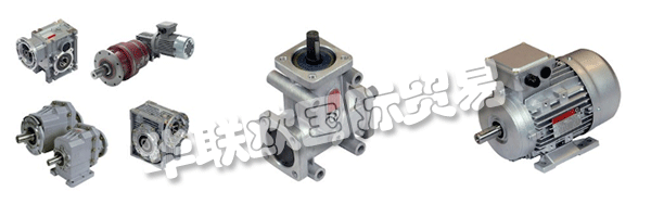 財產的意愿都是維持和鞏固集團的領導地位CHIARAVALLI，