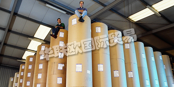 APV德國是歐洲卷材紙和柔性材料加工領域的領先公司之一。在客戶不斷變化的需求的推動下，他們不斷努力改進和完善他們的加工技術。這得到了密集投資計劃的支持。因此，他們實現了先前的機器擴展和存儲容量的擴展。2011年，Bramsche工廠新建了一個生產車間，為高科技，醫療技術和食品行業的客戶提供清潔和衛生的特殊條件。