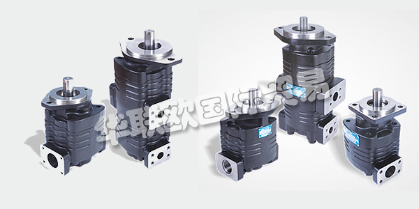 印度VELJAN主要產(chǎn)品:VELJAN齒輪泵、液壓閥等。VELJAN HYDRAIR LIMITED成立于1965年,是印度FLUID POWER公司的先驅(qū),也是其獨(dú)立的領(lǐng)導(dǎo)者。