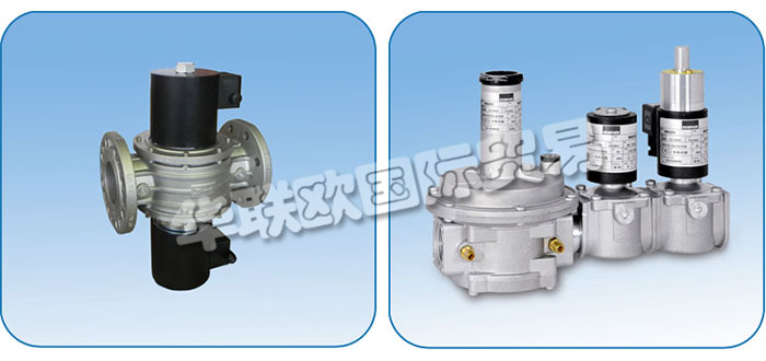 意大利ECONEX公司主要供應：意大利ECONEX閥門,ECONEX電動執行器，旋轉執行器，電磁閥，蝶閥，球閥，調節閥，氣體過濾器，接頭，軟管，壓力開關，變壓器，壓力表，渦輪燃氣表等產品。