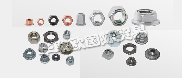 FLAIG+HOMMEL是世界知名的不銹鋼安全螺母制造商，幾十年來一直是國際汽車和鐵路行業(yè)的可靠合作伙伴。下文為您具體介紹FLAIG+HOMMEL安全螺母。