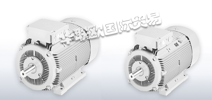 VEM異步電機,VEM標準三相異步電機,德國三相電機,德國標準三相異步電機,G21R/G22R系列,德國VEM