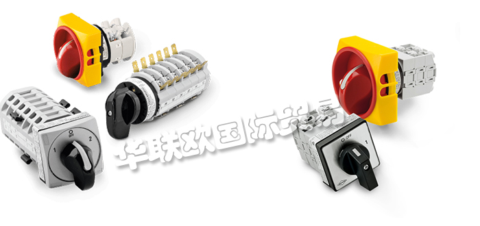 意大利BREMAS ERSCE凸輪開(kāi)關(guān)CA/CS系列